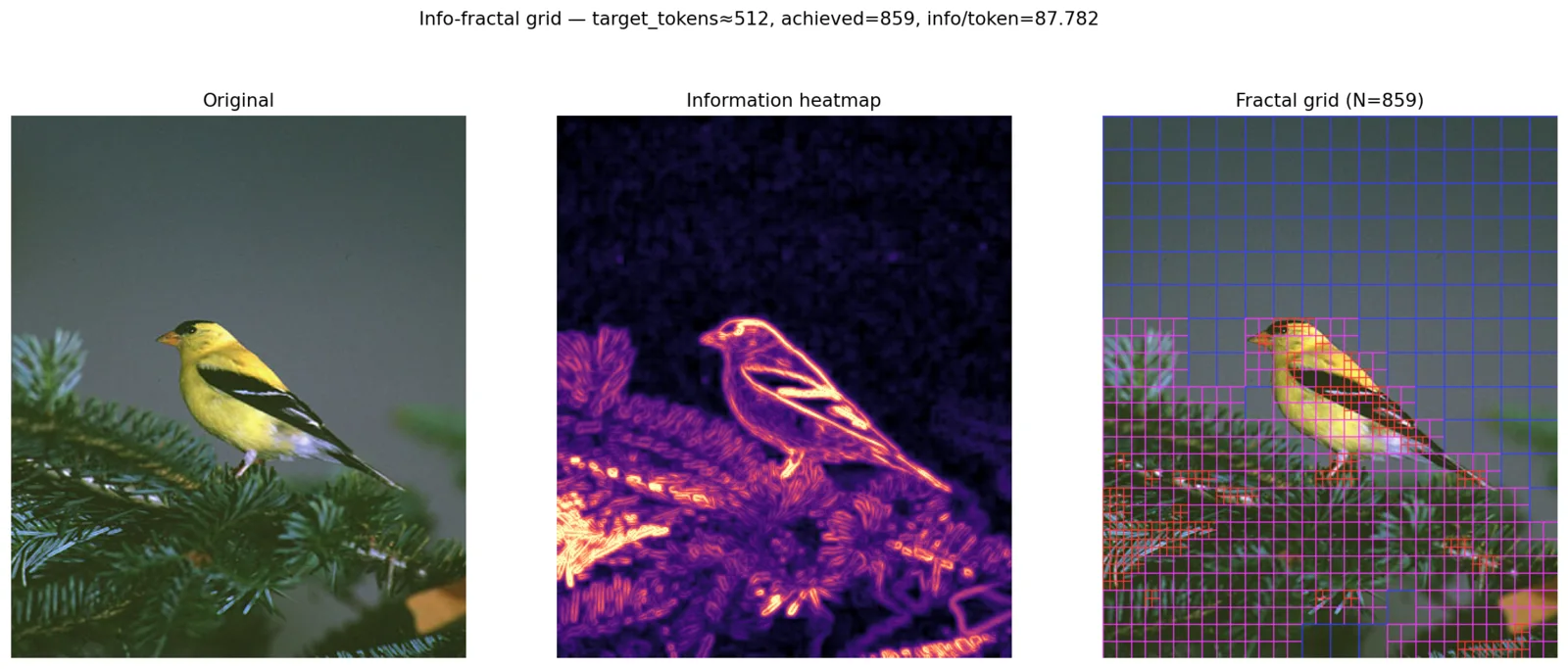 FractalTokenizer visualization of an image, information heatmap and adaptive grid